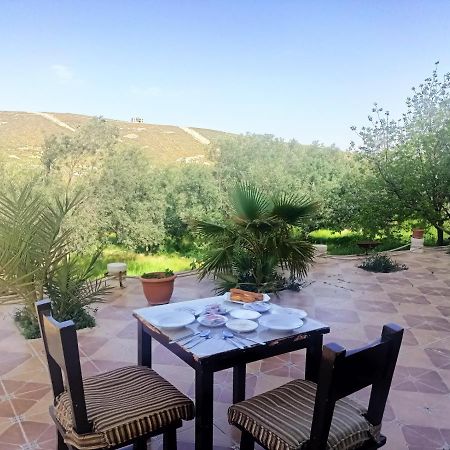 وادي موسى Farmer Stay Hostel المظهر الخارجي الصورة